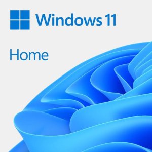Windows OEM